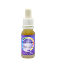Essenz Konzentration auf das Wesentliche (15ml)